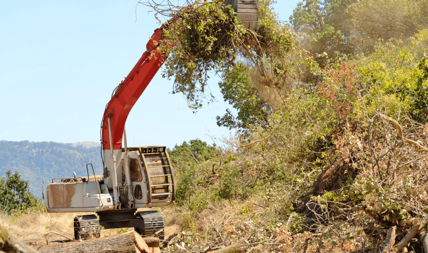 LAND CLEARING